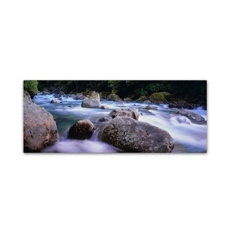 Trademark Fine Art David Evans 'Hollyford River-NZ' Canvas Art, 16x47 DE0042-C1647GG